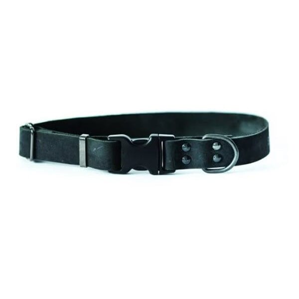 EURO DOG - Sport Style Dog Collar Euro Dog Small Black 