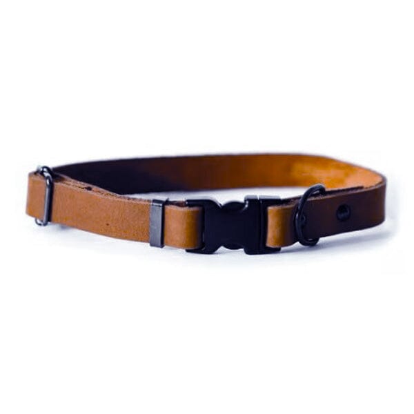 EURO DOG - Genuine Leather Sport Style Dog Collar in Small, durable for dogs