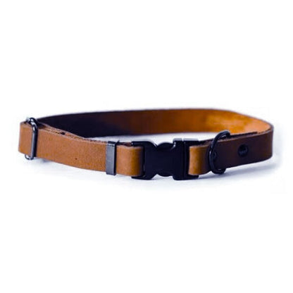 EURO DOG - Genuine Leather Sport Style Dog Collar in Small, durable for dogs