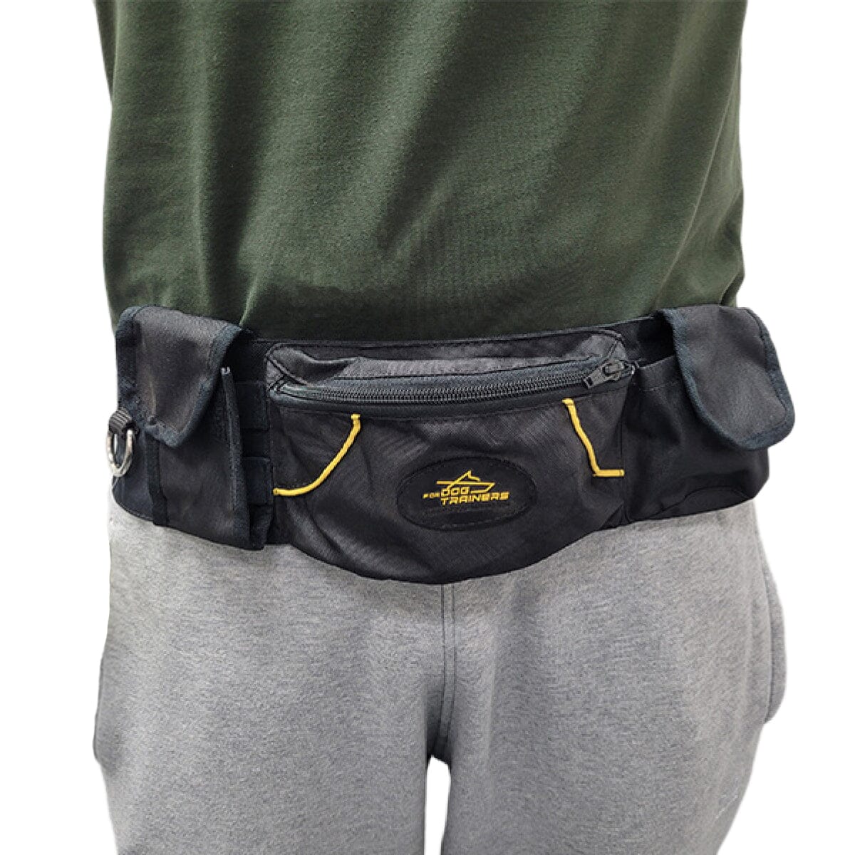 Dog hotsell training belt