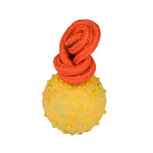 FOR DOG TRAINERS - Hollow Rubber Dog Ball on String in Small 2", durable Pet Training Aids for dogs