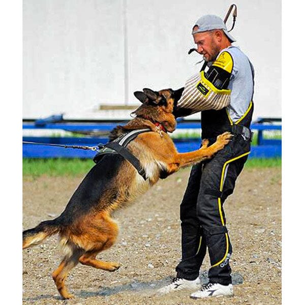 FOR DOG TRAINERS - Intermediate Jute Dog Training Sleeve For Dog Trainers 