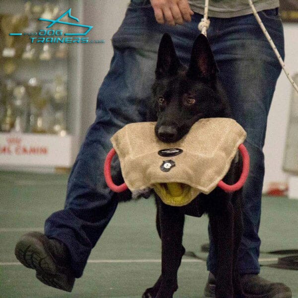 FOR DOG TRAINERS - Jute Puppy And Young Dog Bite Builder in , durable for dogs