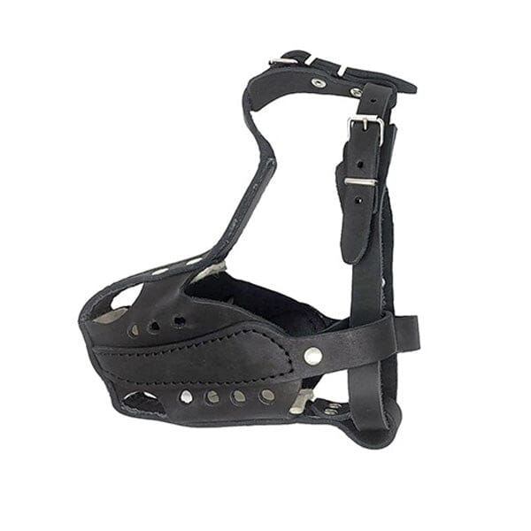 GAPPAY - Leather Bump Muzzle with Steel Rail & Steel Clasp in German Shepherd, durable for dogs