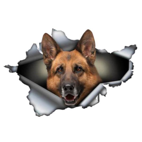 German Shepherd Breaking Through - Sticker in , durable Vehicle Decals for dogs