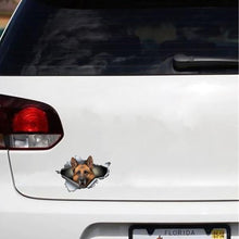 German Shepherd Breaking Through - Sticker in , durable Vehicle Decals for dogs