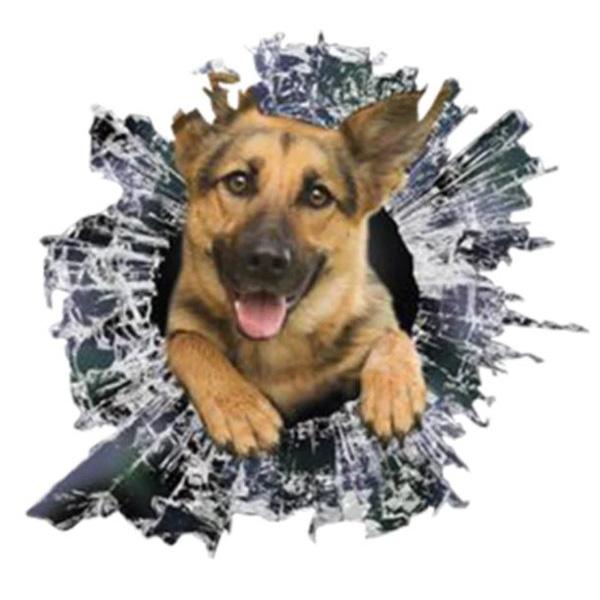 German Shepherd Busting Out - Sticker Stickers German Shepherd Shop 