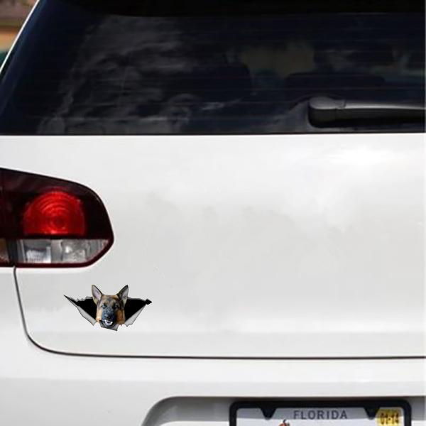 German Shepherd Growling Out - Sticker 5" x 2.75" in , durable Vehicle Decals for dogs
