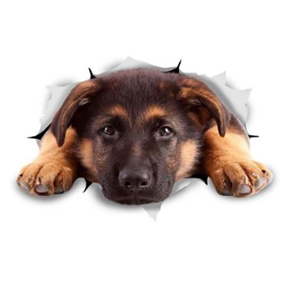 German Shepherd Puppy Breaking Through - Sticker in Small, durable Vehicle Decals for dogs