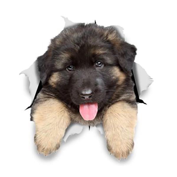 German Shepherd Puppy Busting Out 6" x 5.5" - Sticker in , durable Vehicle Decals for dogs