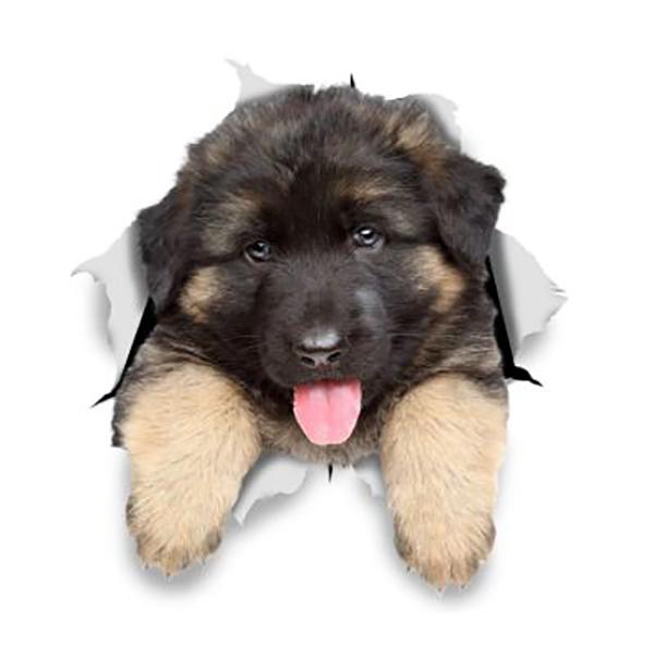 German Shepherd Puppy Busting Out 6" x 5.5" - Sticker Stickers German Shepherd Shop 