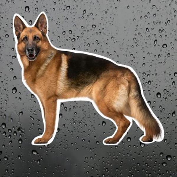German Shepherd Standing - Sticker in , durable Vehicle Decals for dogs