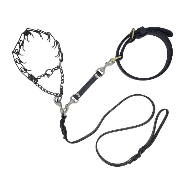GSS - Biothane Prong Collar Backup Safety Connector in , durable for dogs