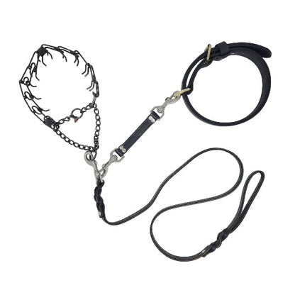 GSS - Biothane Prong Collar Backup Safety Connector in , durable for dogs