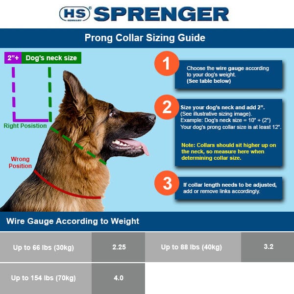 HERM SPRENGER - Black Stainless Steel Prong Dog Training Collar Pet Collars & Harnesses Herm Sprenger 