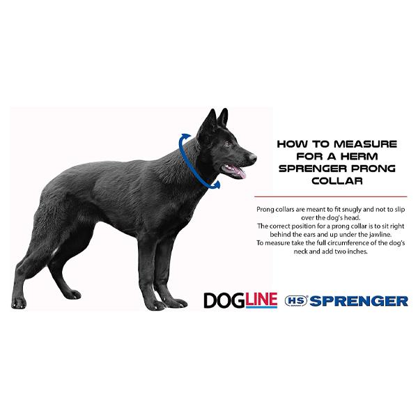 HERM SPRENGER - Black Stainless Steel ULTRA-PLUS Training Collar with Center-Plate and ClicLock Quick-Release Buckle in , durable Pet Collars & Harnesses for dogs
