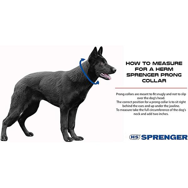 HERM SPRENGER - Chrome ULTRA-PLUS Training Collar with Center-Plate and Assembly Chain in , durable Pet Collars & Harnesses for dogs
