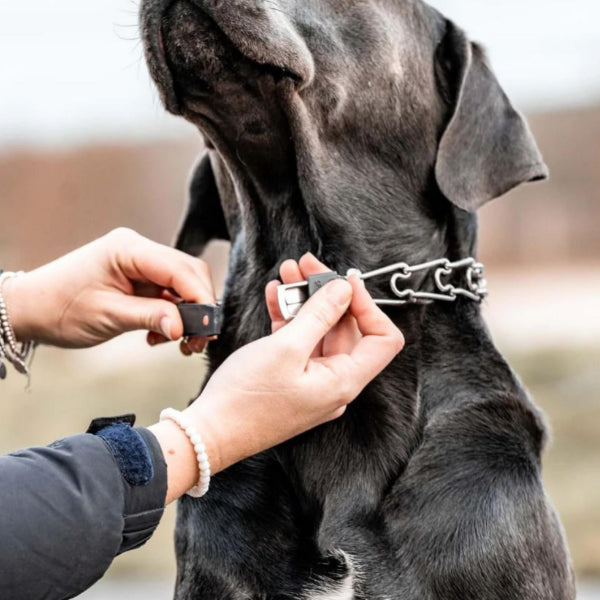 HERM SPRENGER - ClicLock Quick-Release Buckle - Stainless Steel in , durable Pet Collars & Harnesses for dogs