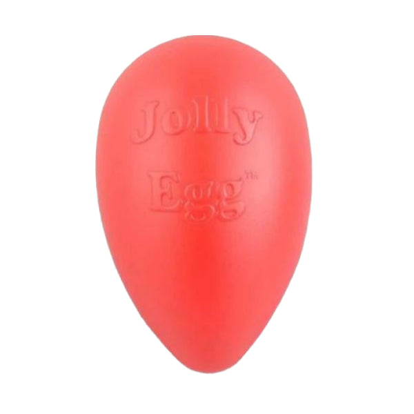 JOLLY PETS - Jolly Egg in 12-in, durable Dog Toys for dogs