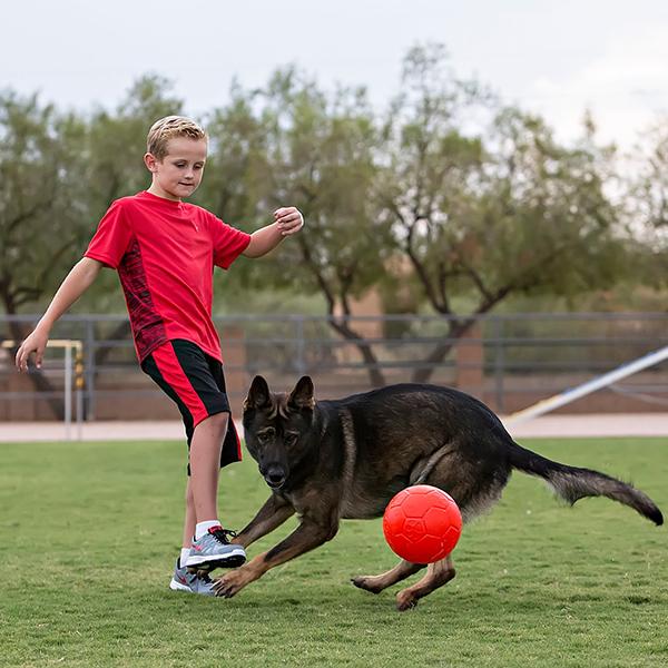 JOLLY PETS - Jolly Soccer Ball in , durable Dog Toys for dogs