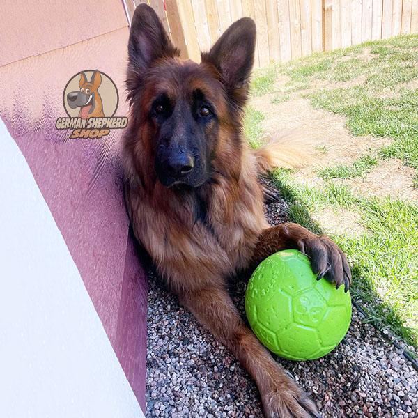 JOLLY PETS - Jolly Soccer Ball in , durable Dog Toys for dogs