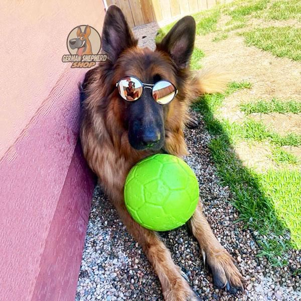 Dog, Germany Dog Soccer Jersey