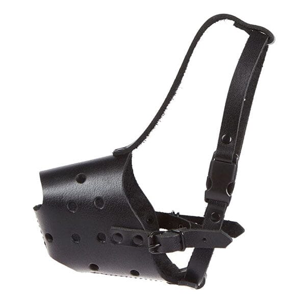 K9 EVOLUTION - Leather Orca Muzzle in Small, durable for dogs