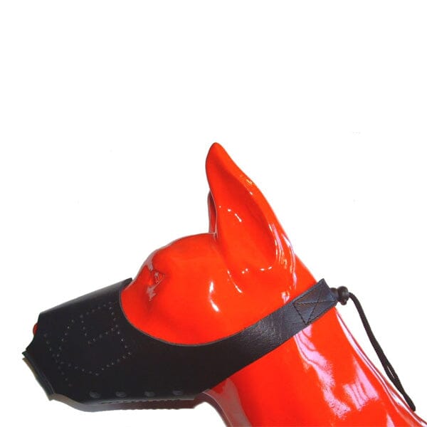K9 EVOLUTION - SWAT Leather Muzzle in , durable for dogs