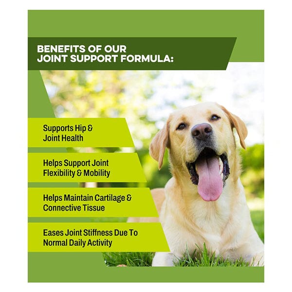 K9 POWER - Joint Strong Pet Vitamins & Supplements K9-Power 