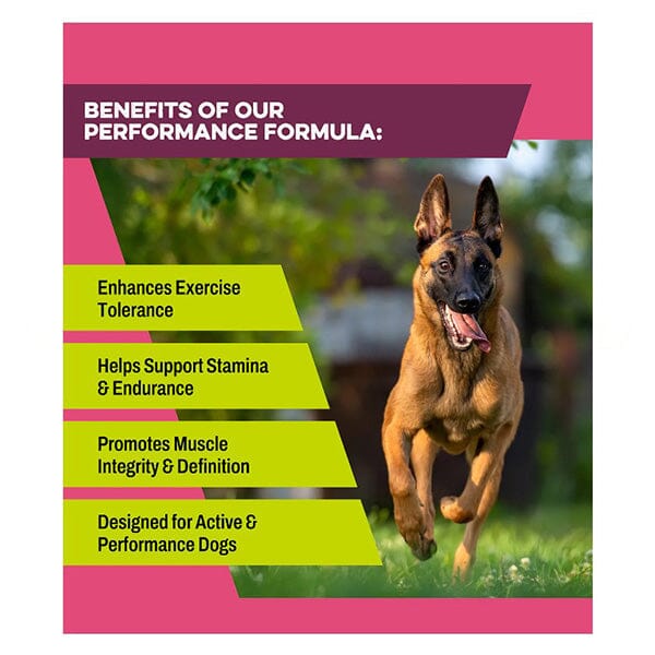 K9 POWER - Super Fuel Pet Vitamins & Supplements K9-Power 