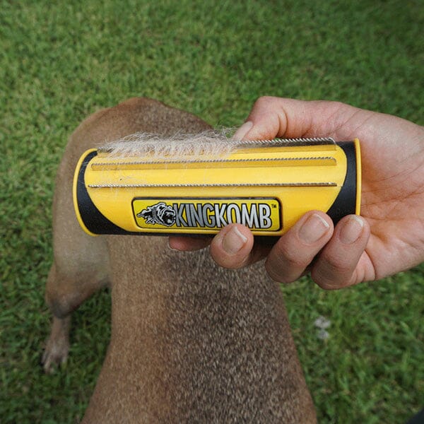 KING KANINE - King Komb in , durable for dogs