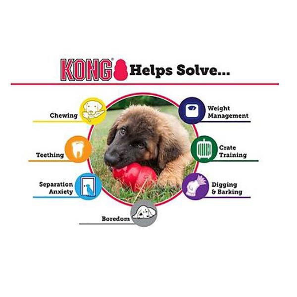 KONG - Puppy Toy in , durable Dog Toys for dogs