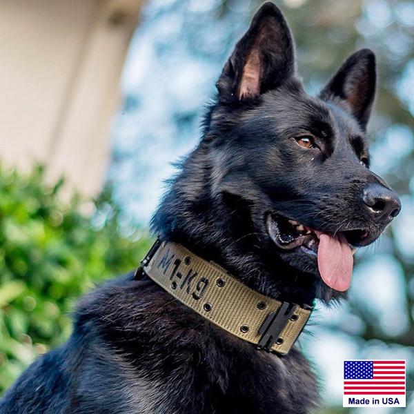 German shepherd tactical collar hotsell