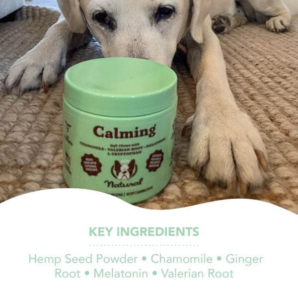 NATURAL DOG COMPANY - Calming Chews in , durable Pet Vitamins & Supplements for dogs