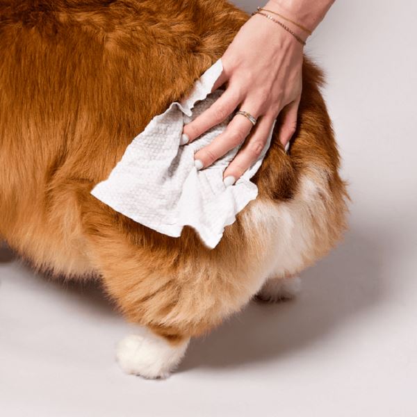 NATURAL DOG COMPANY - Grooming Wipes Pet Wipes Natural Dog Company 