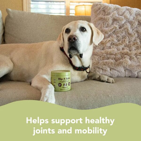 NATURAL DOG COMPANY - Hip & Joint Supplements - 90 Chews in , durable Pet Vitamins & Supplements for dogs