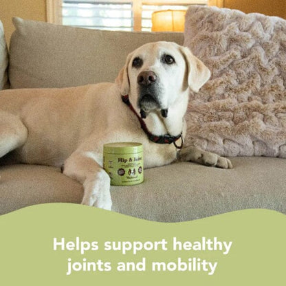 NATURAL DOG COMPANY - Hip & Joint Supplements - 90 Chews in , durable Pet Vitamins & Supplements for dogs