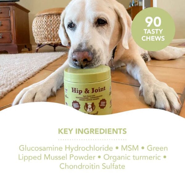NATURAL DOG COMPANY - Hip & Joint Supplements - 90 Chews in , durable Pet Vitamins & Supplements for dogs