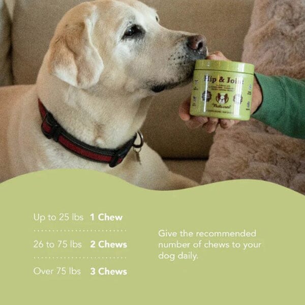NATURAL DOG COMPANY - Hip & Joint Supplements - 90 Chews in , durable Pet Vitamins & Supplements for dogs