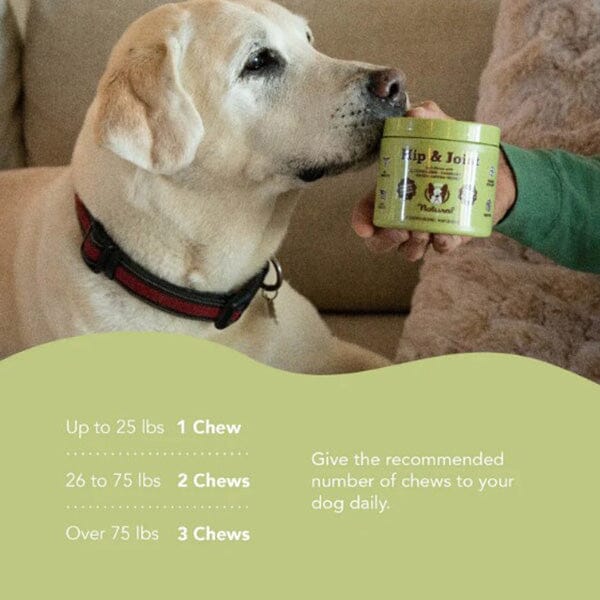 NATURAL DOG COMPANY - Hip & Joints Supplements - 90 Chews Pet Vitamins & Supplements Natural Dog Company 