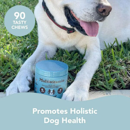 NATURAL DOG COMPANY - Multivitamins Supplements - 90 Chews in , durable Pet Vitamins & Supplements for dogs