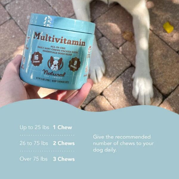 NATURAL DOG COMPANY - Multivitamins Supplements - 90 Chews in , durable Pet Vitamins & Supplements for dogs