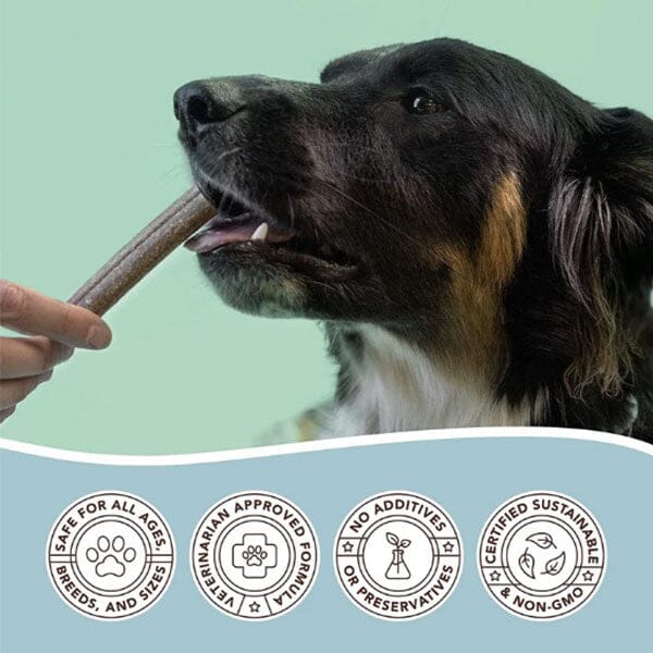 Natural Dog Company - Premium Dental Treats Natural Dog Company 