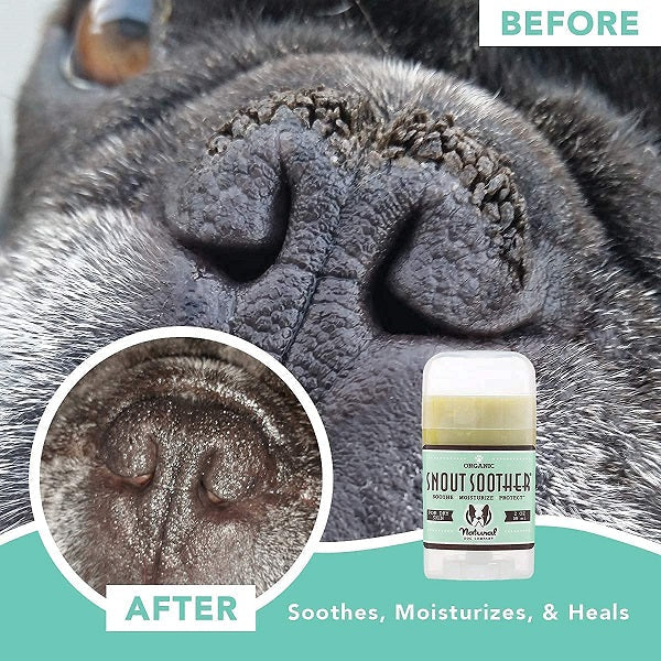 NATURAL DOG COMPANY - Snout Soother 2oz Stick in , durable Pet Medicine for dogs