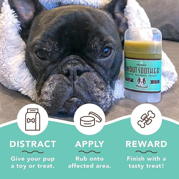 NATURAL DOG COMPANY - Snout Soother 2oz Stick in , durable Pet Medicine for dogs