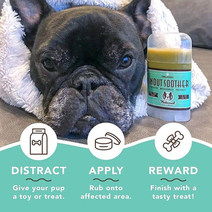 NATURAL DOG COMPANY - Snout Soother 2oz Stick in , durable Pet Medicine for dogs