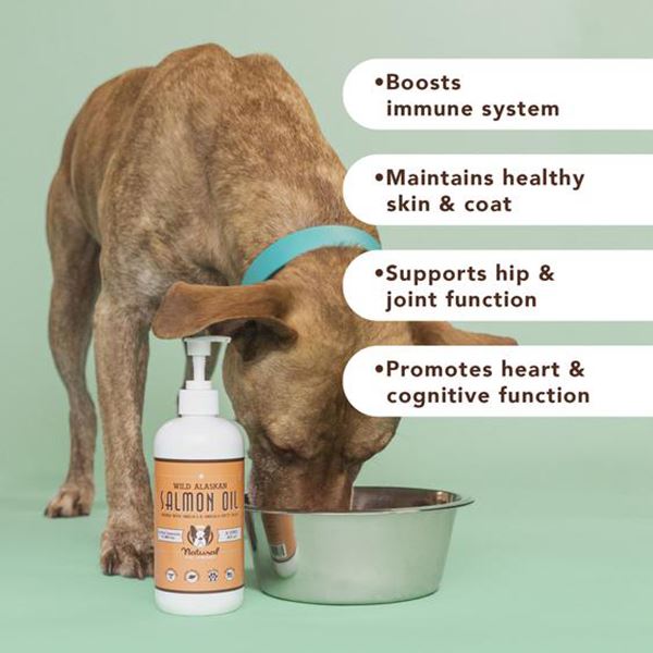 NATURAL DOG COMPANY - Wild Alaskan Salmon Oil - 16oz Health & Wellness Natural Dog Company 