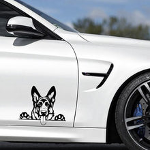 Peeking German Shepherd - Sticker in , durable Vehicle Decals for dogs