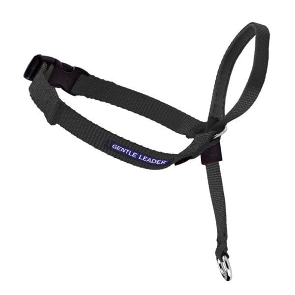 PETSAFE - Gentle Leader Headcollar in , durable Pet Leashes for dogs