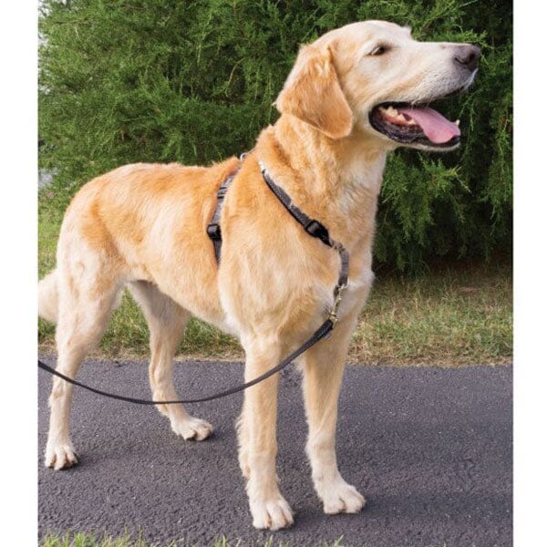 PETSAFE - 3 in 1 Harness Petsafe 